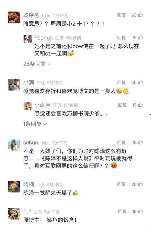 陈泽最新爆料视频在线观看,事件真相与幕后黑手全解析  第2张